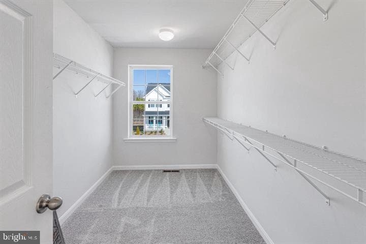 6318 Pointer Lane photo 29