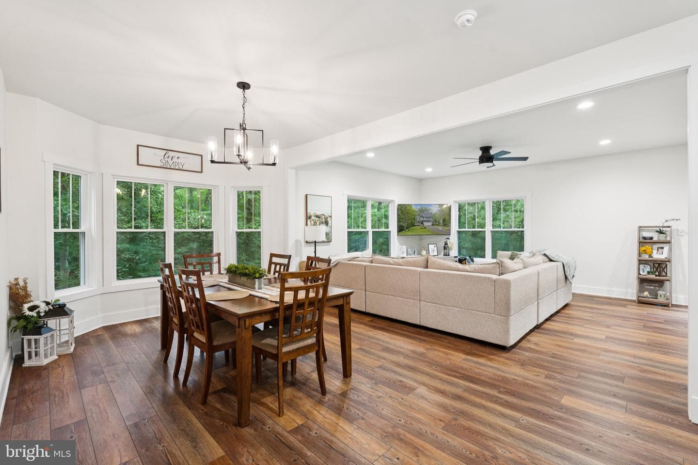 10042 Natural Grass Way photo 2