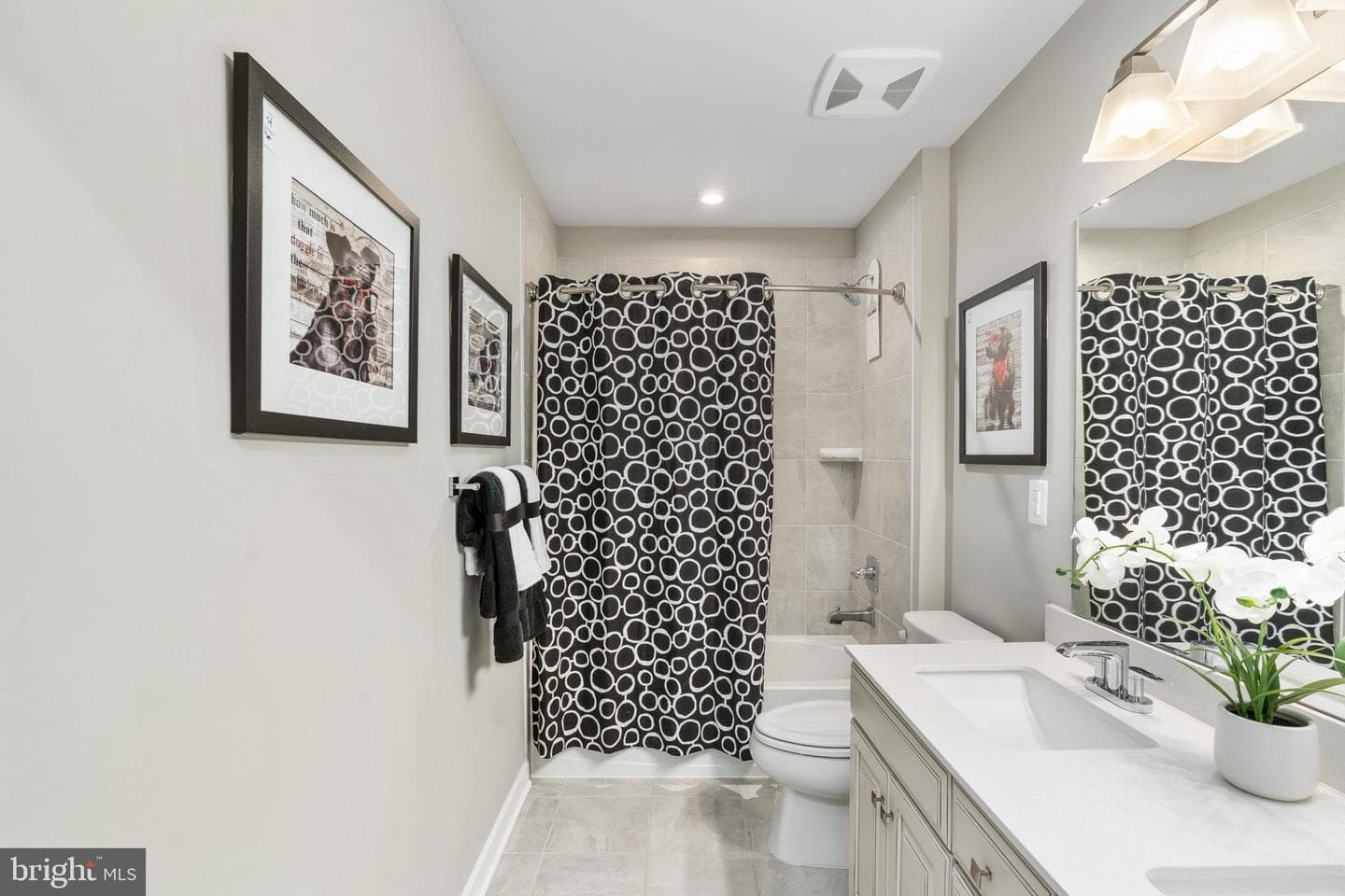 12026 Angora Drive photo 25
