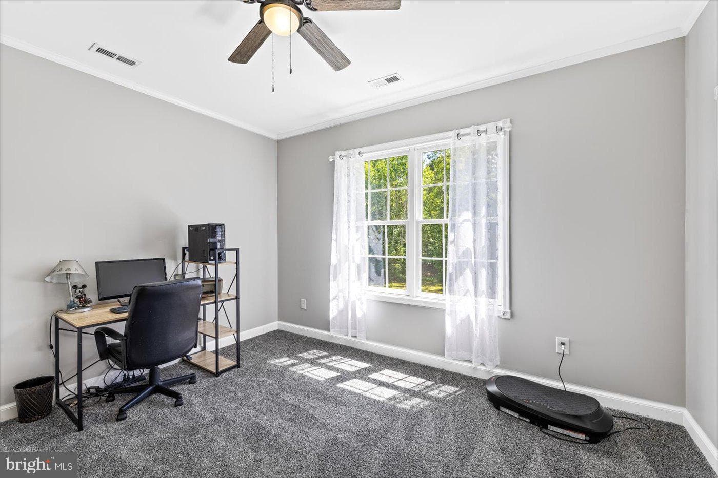 9198 Caledon Road photo 34