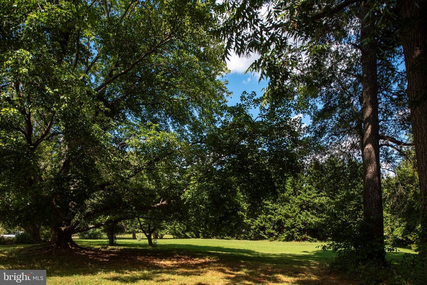 1225 Woodstock Road photo 61