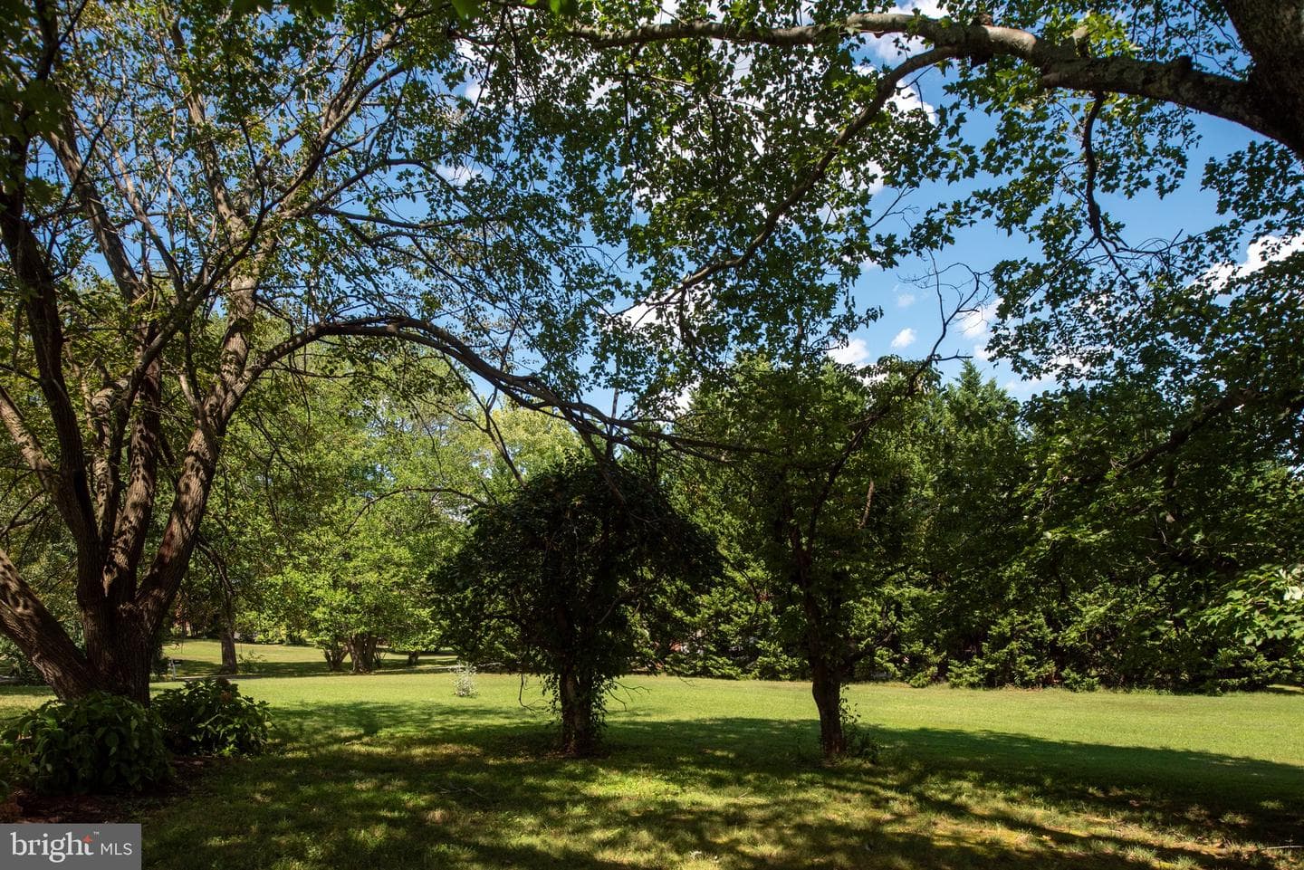 1225 Woodstock Road photo 65