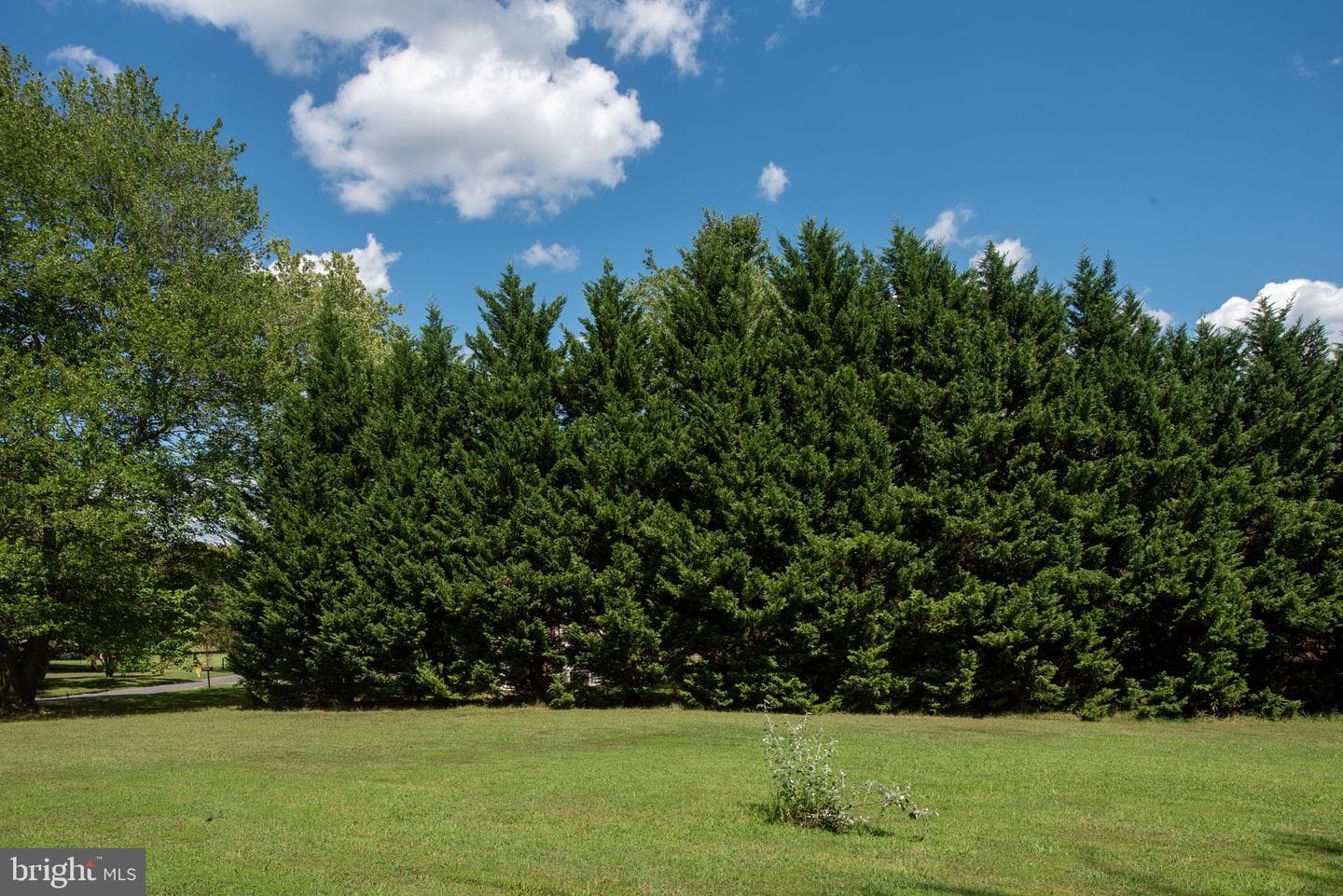 1225 Woodstock Road photo 69