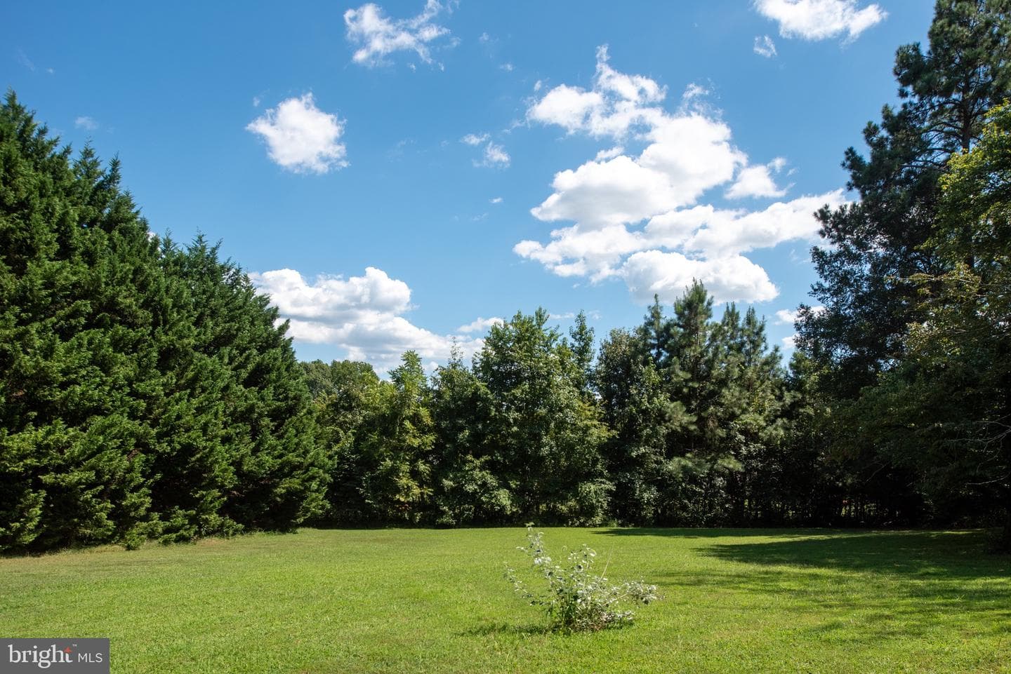 1225 Woodstock Road photo 70