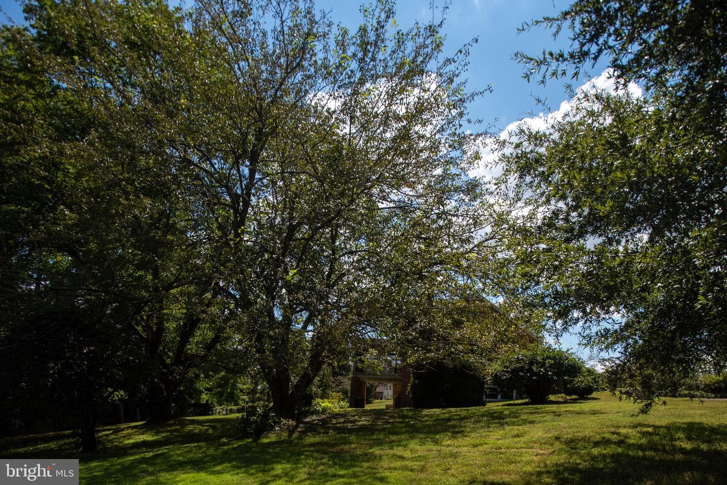 1225 Woodstock Road photo 71