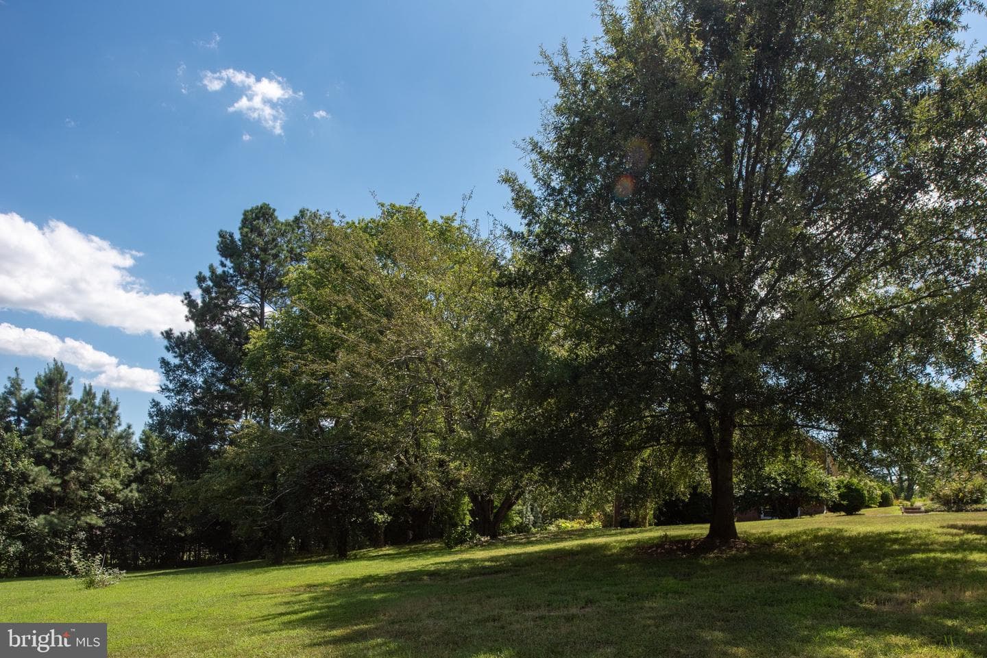 1225 Woodstock Road photo 79