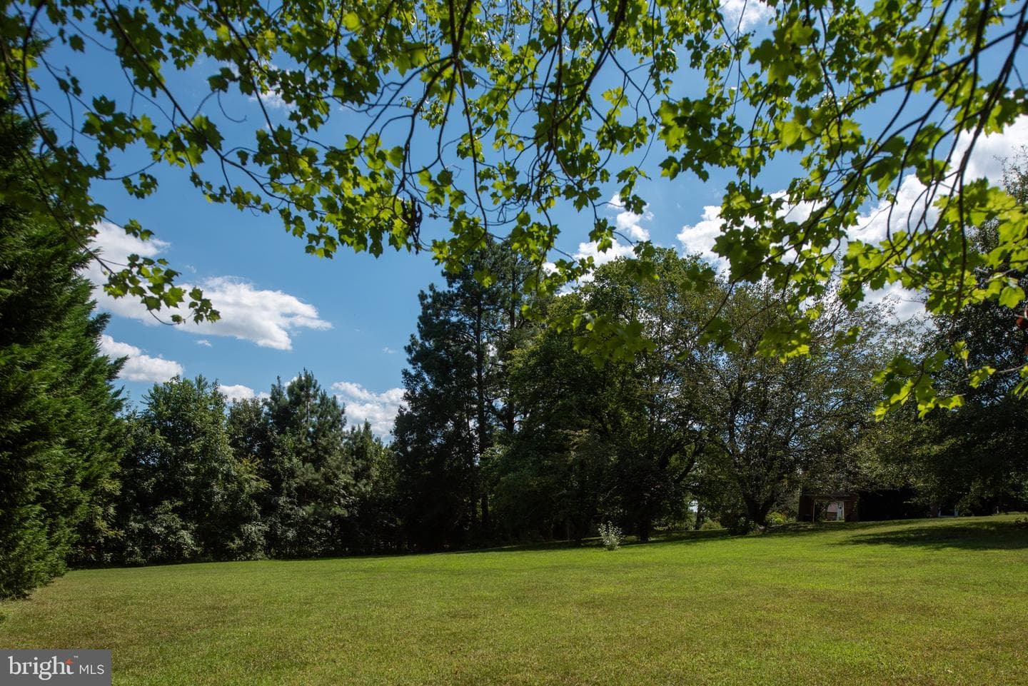 1225 Woodstock Road photo 80