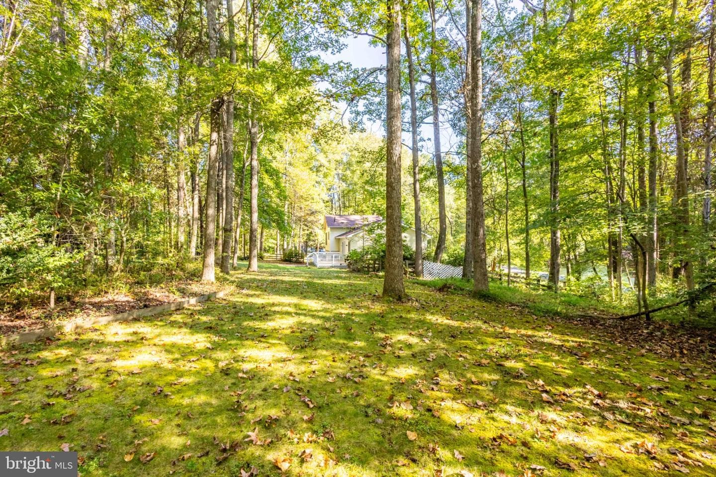 7504 Cleveland Drive photo 45