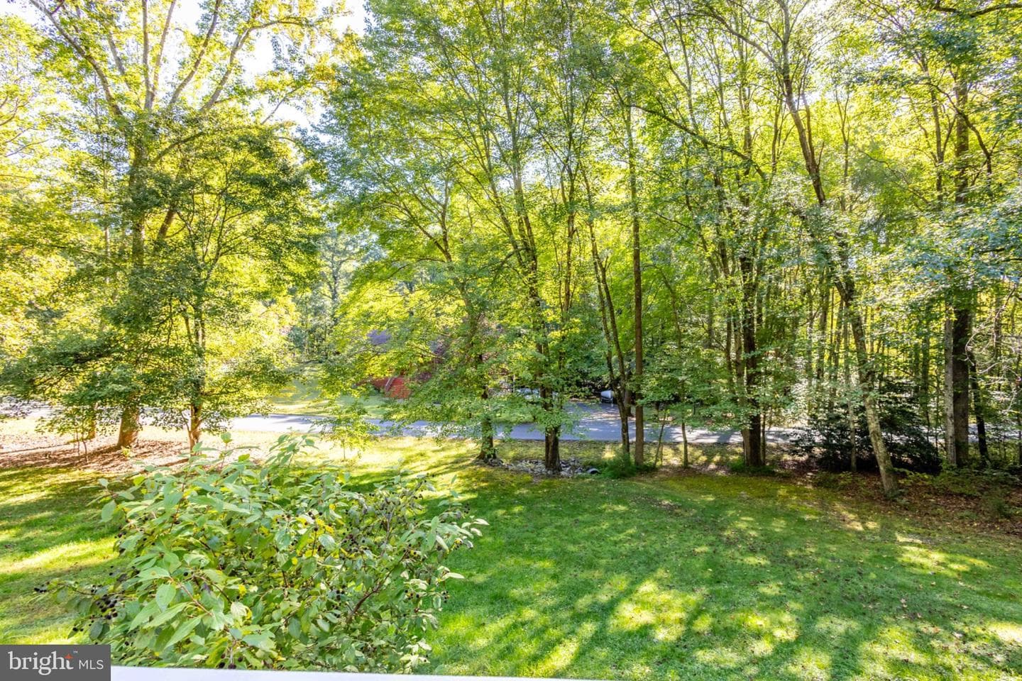 7504 Cleveland Drive photo 48