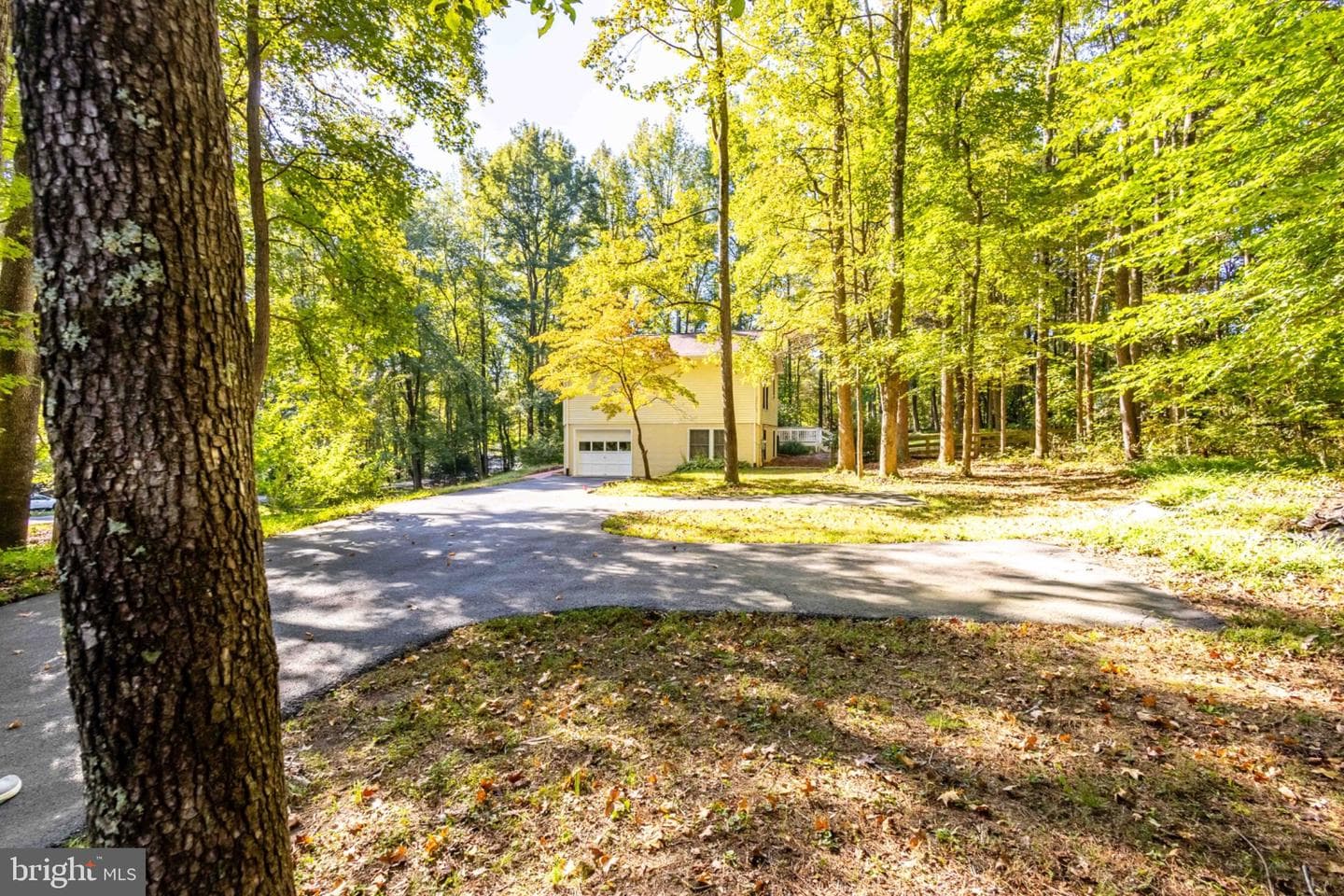 7504 Cleveland Drive photo 7