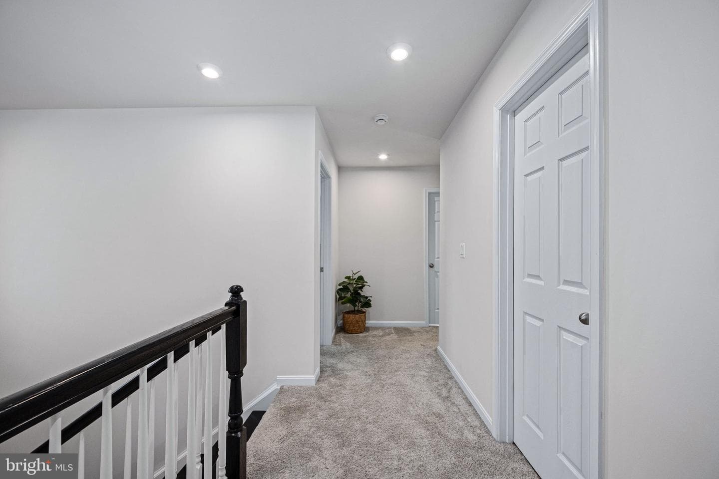 6276 Bobcat Lane photo 29
