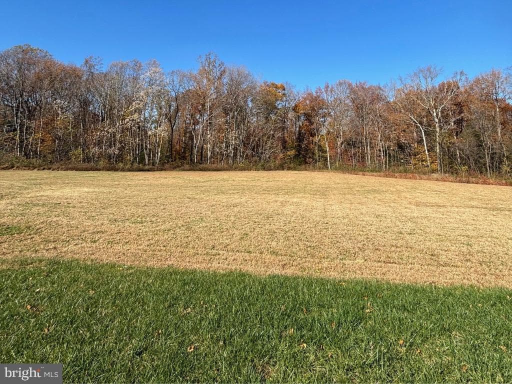 11260 Emerald Drive photo 46
