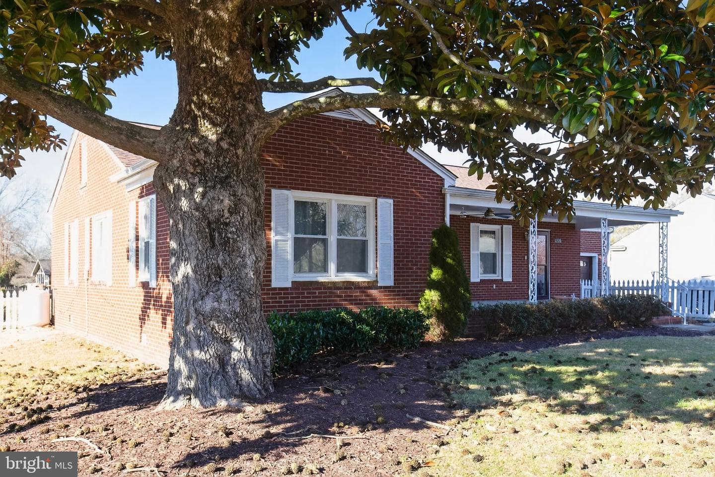 6228 Potomac Drive photo 39