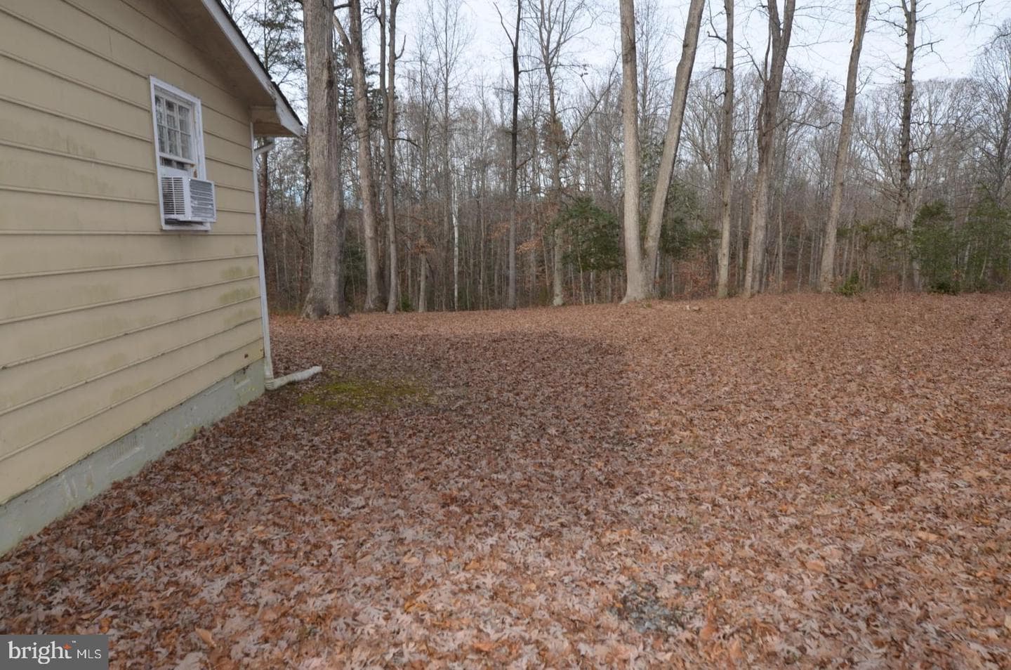 11418 Jersey Road photo 7