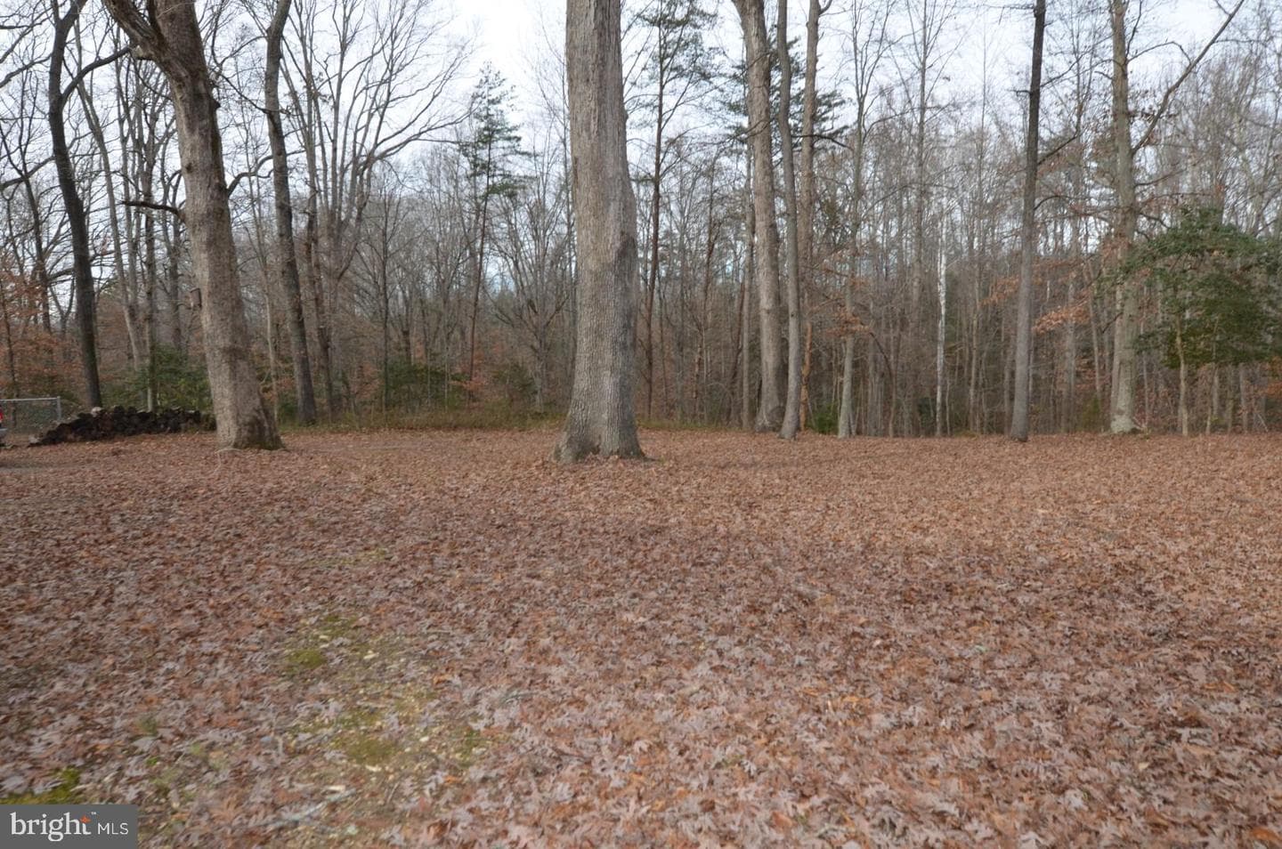 11418 Jersey Road photo 9