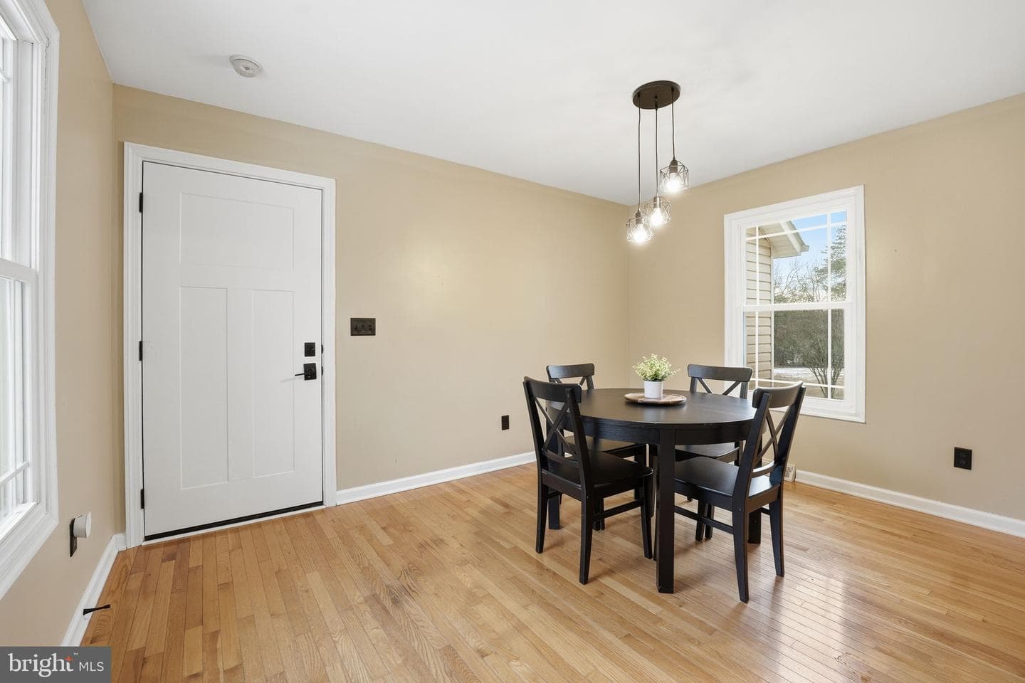 8278 Passapatanzy Drive photo 12