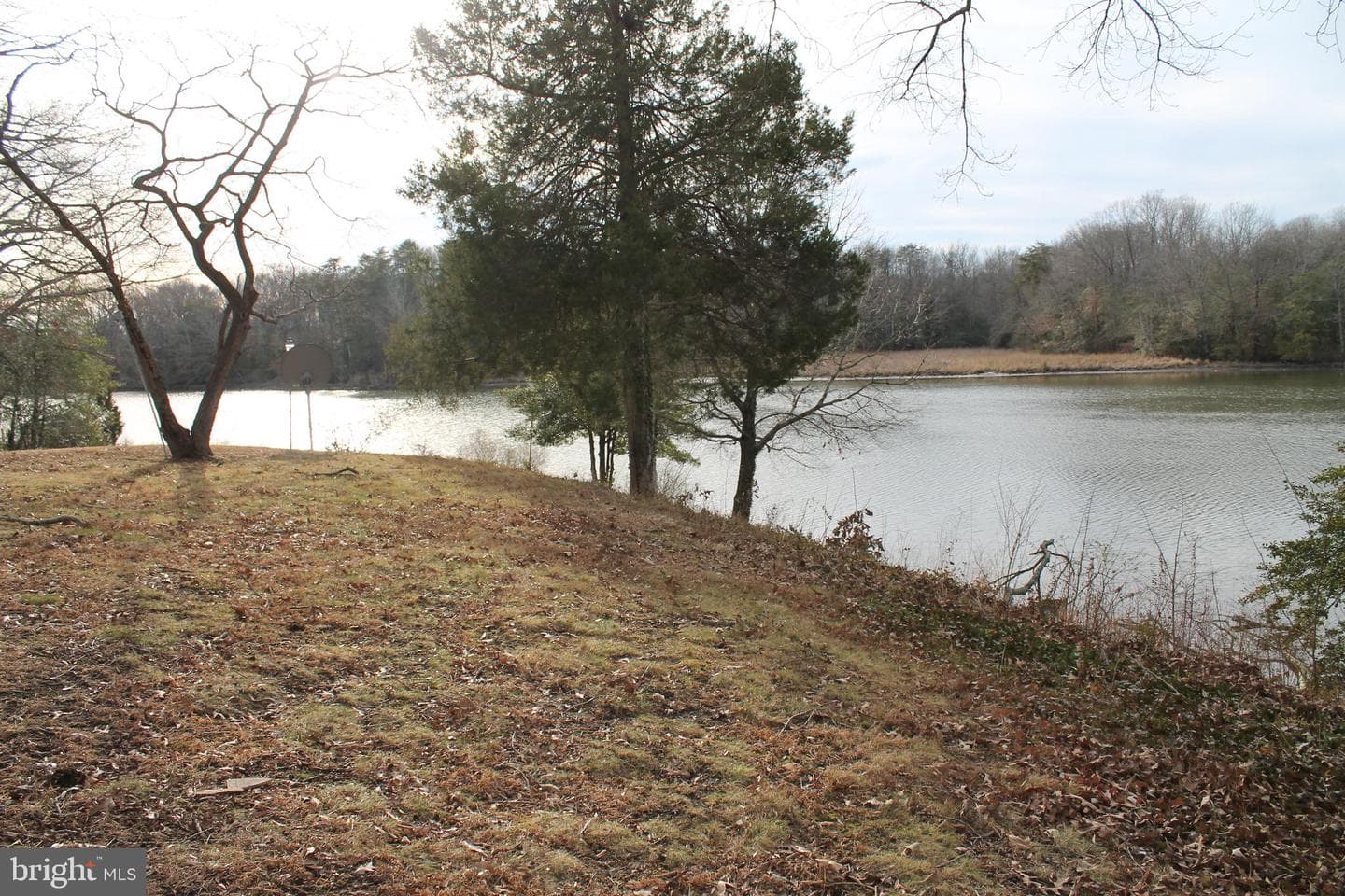 5300 N Williams Creek Drive photo 19