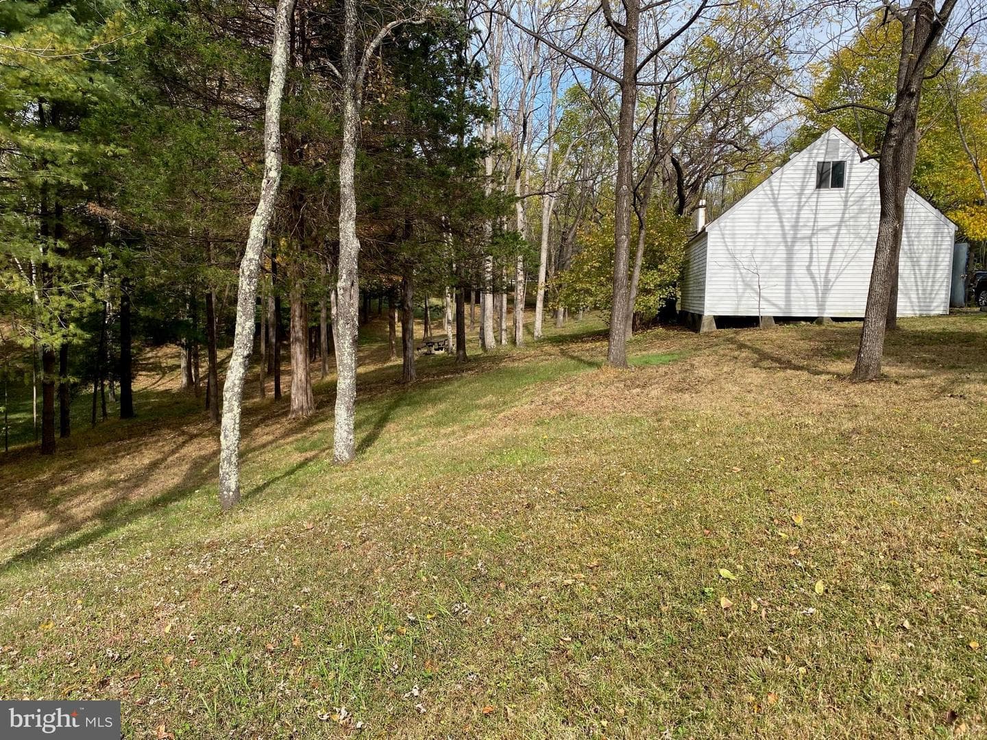 2202 Belvedere Drive photo 10