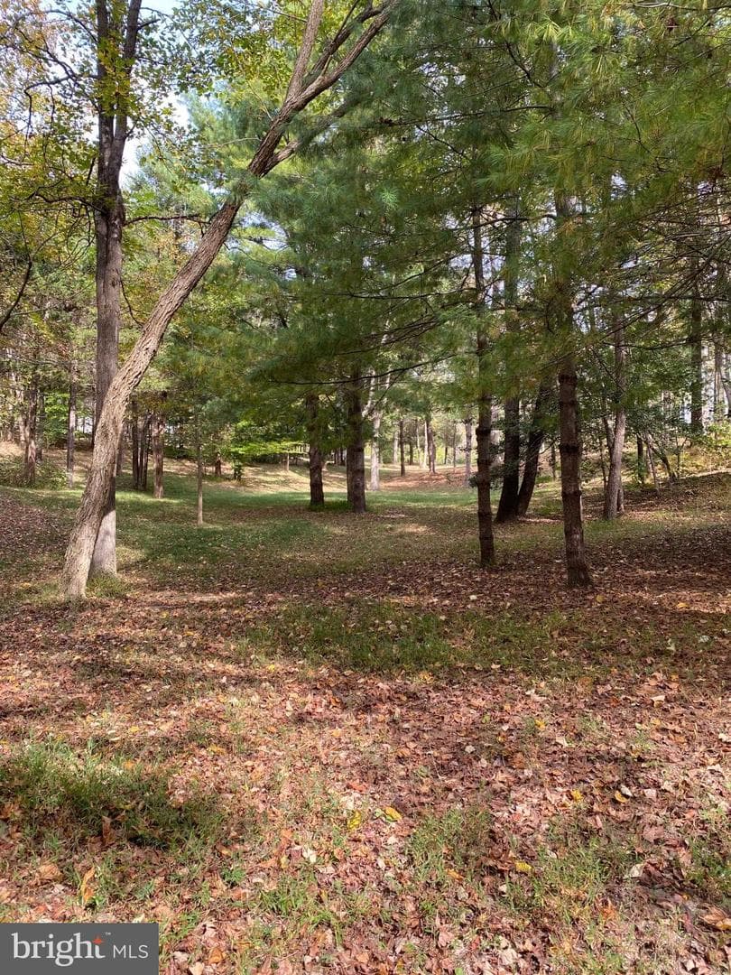 2202 Belvedere Drive photo 11