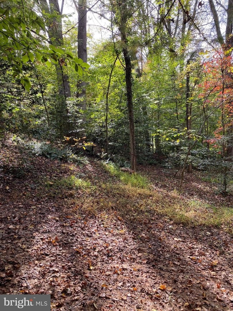 2202 Belvedere Drive photo 12