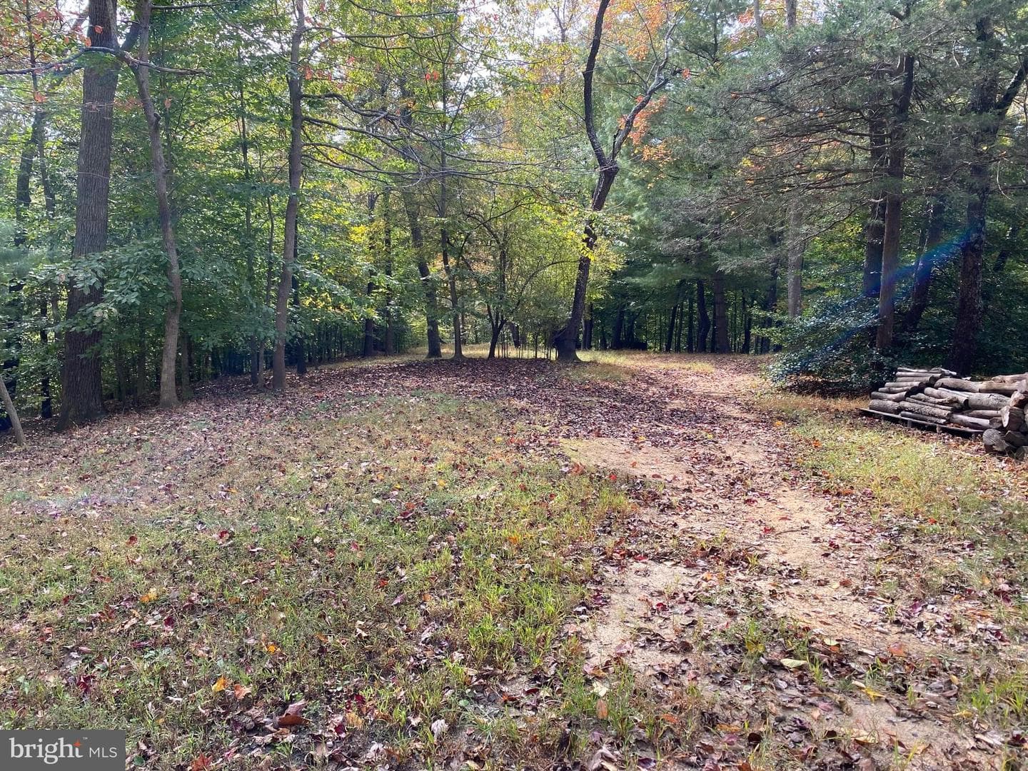 2202 Belvedere Drive photo 14