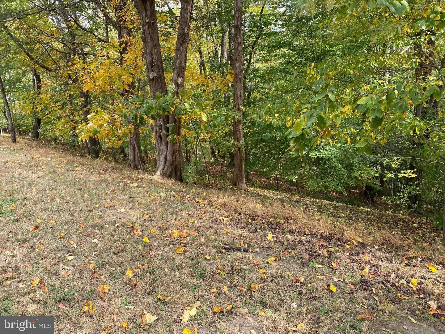 2202 Belvedere Drive photo 15
