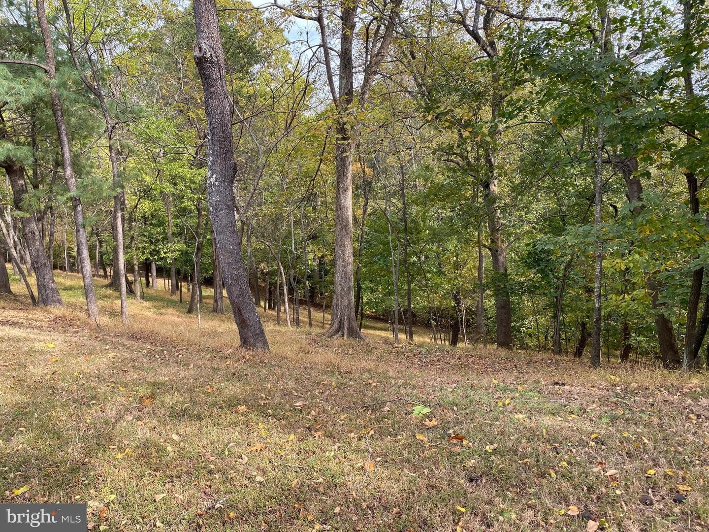 2202 Belvedere Drive photo 16