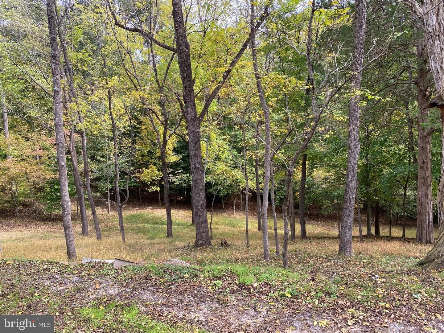 2202 Belvedere Drive photo 17