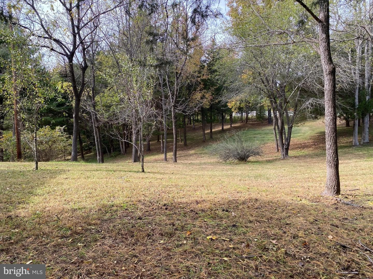2202 Belvedere Drive photo 18