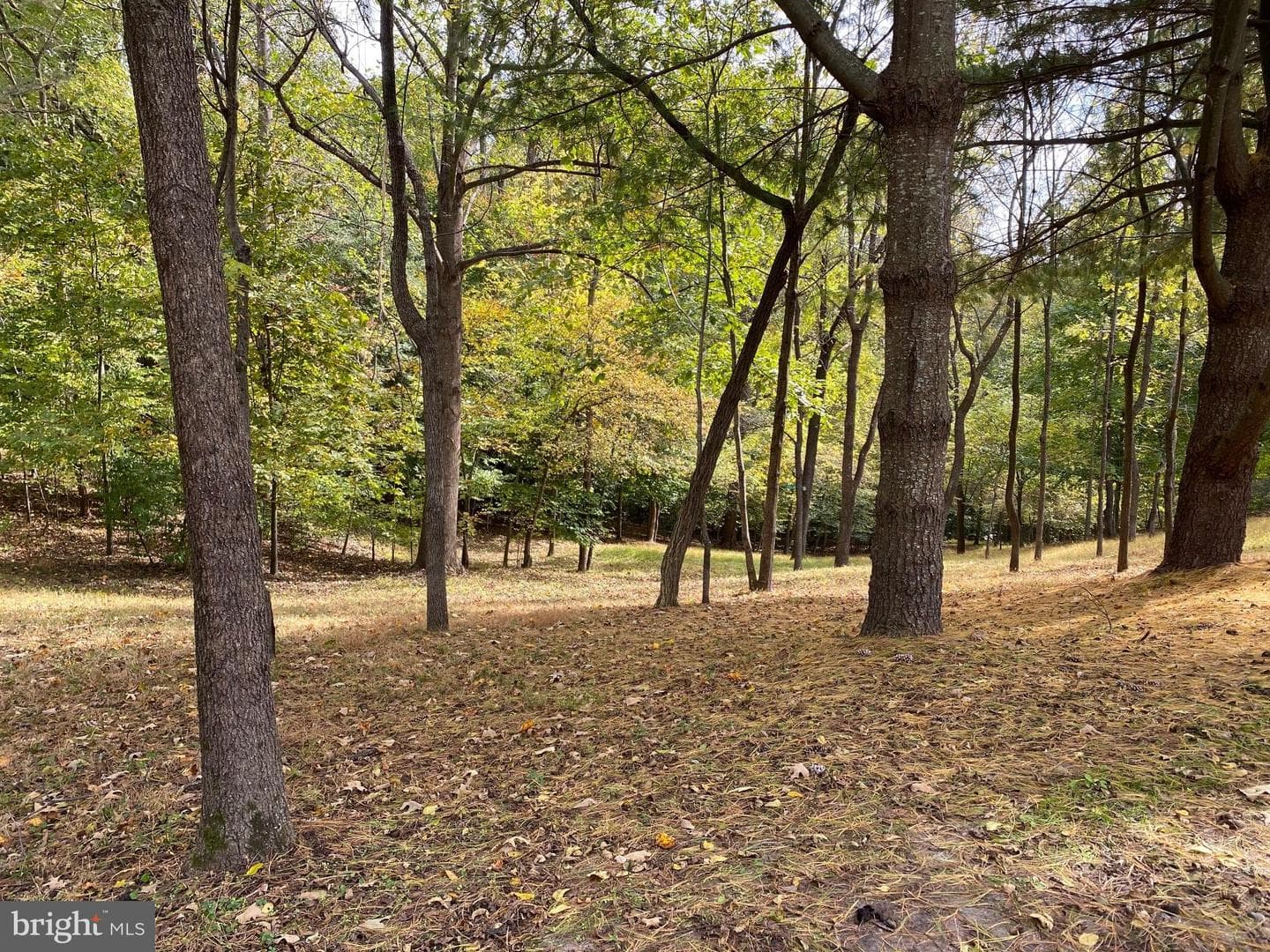 2202 Belvedere Drive photo 19