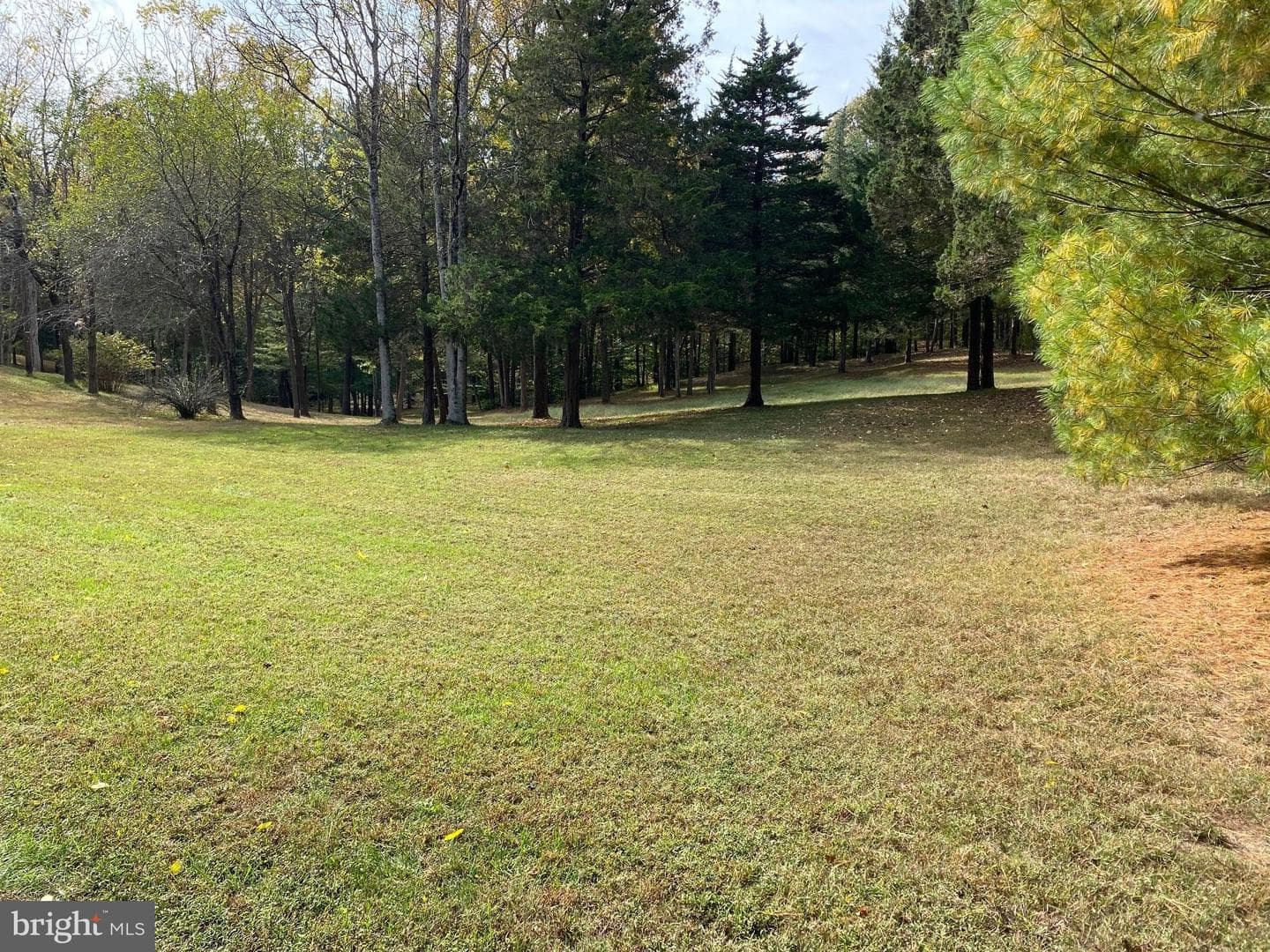 2202 Belvedere Drive photo 2