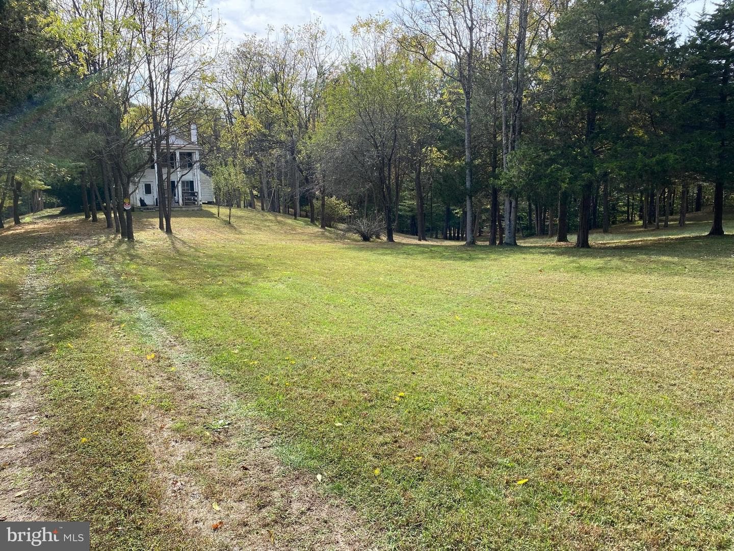 2202 Belvedere Drive photo 5