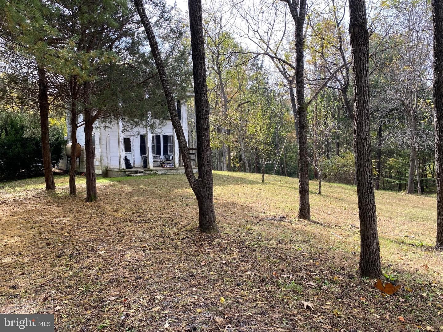 2202 Belvedere Drive photo 6
