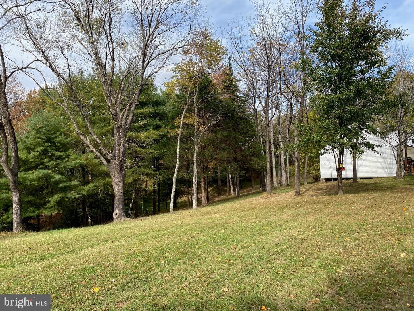 2202 Belvedere Drive photo 9