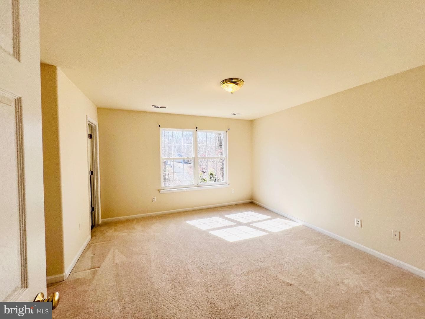 6193 Wheeler Drive photo 43
