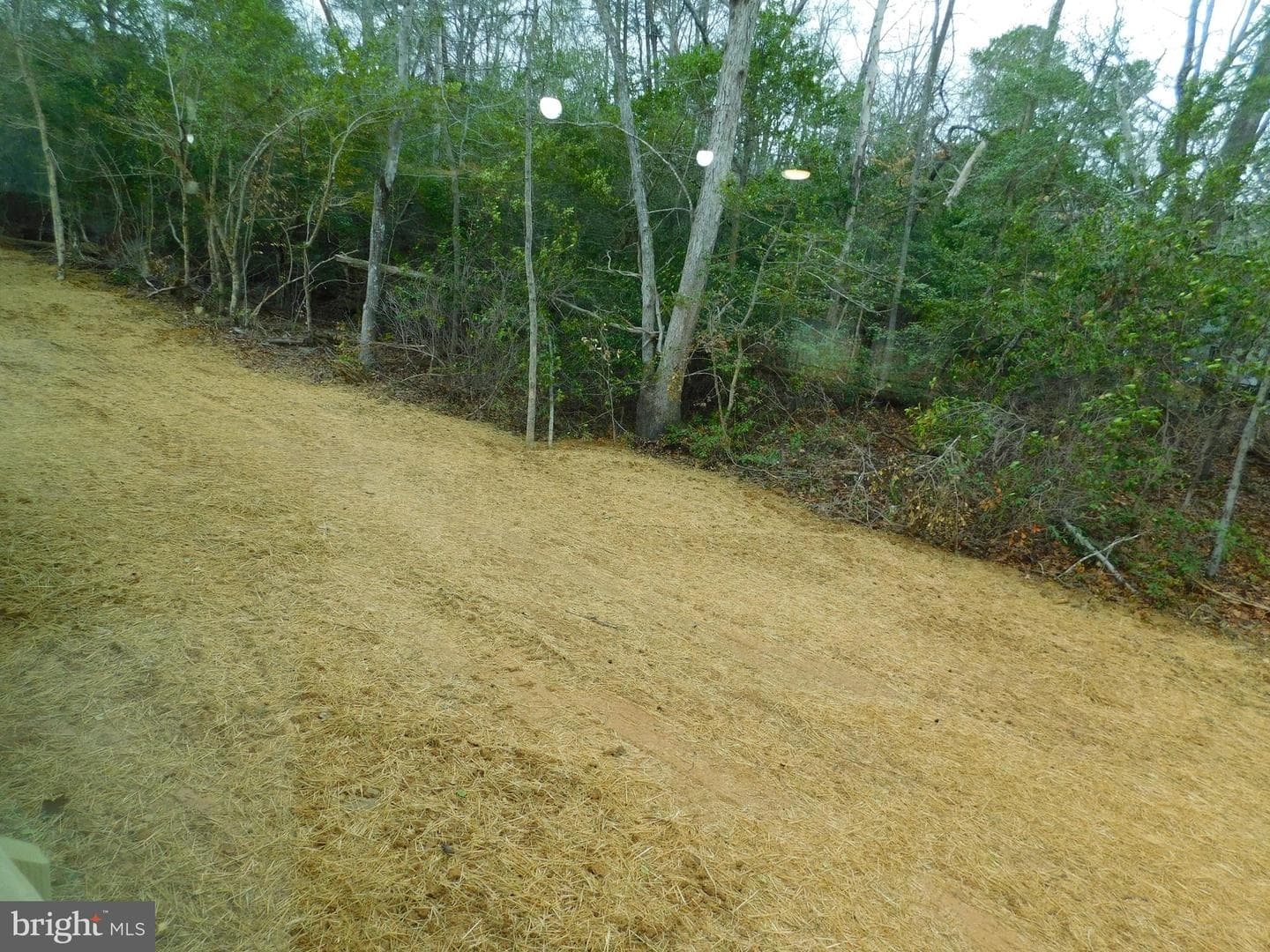 11190 Round Hill Estate Dr photo 39