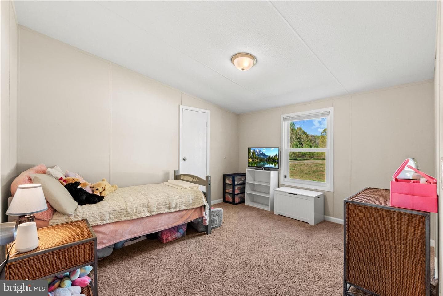12192 Mitcheltree Lane photo 23
