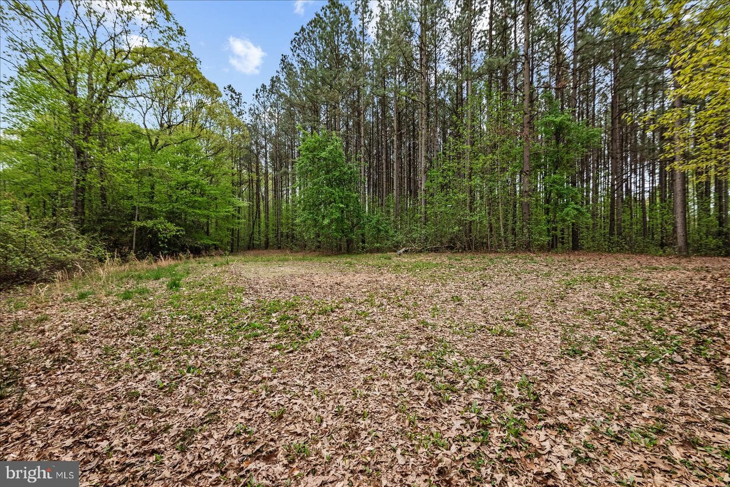 15570 Dickinsons Corner Drive photo 48