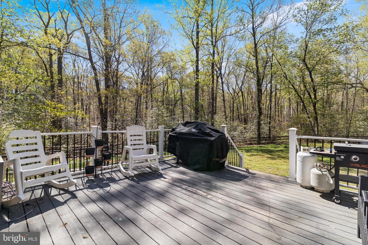 8442 Delegate Drive photo 41