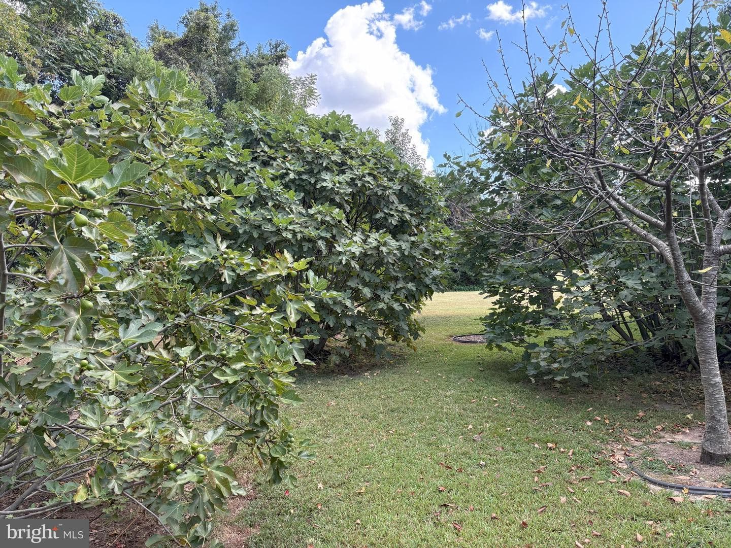8612 Sandy Beach Lane photo 76