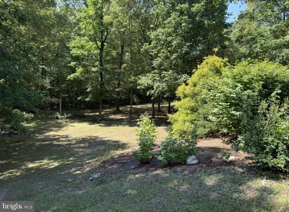 12002 Pleasant Drive photo 12