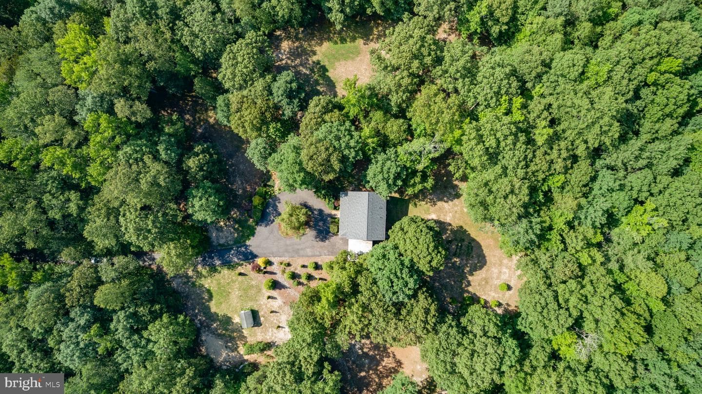 12002 Pleasant Drive photo 56