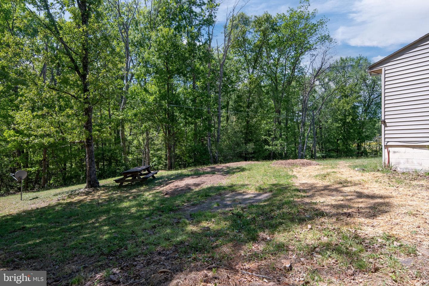 14208 Springfield Lane photo 35