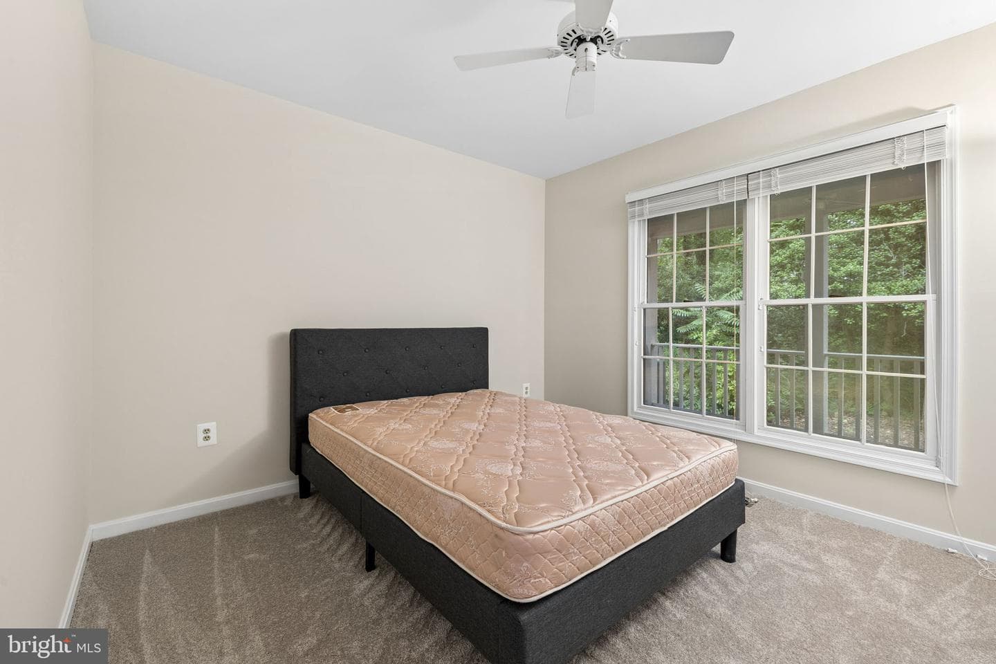 8376 Summerbeam Drive photo 20