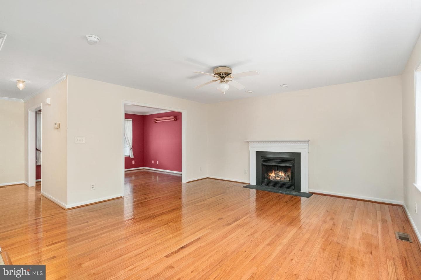 6987 Aidan Way photo 20