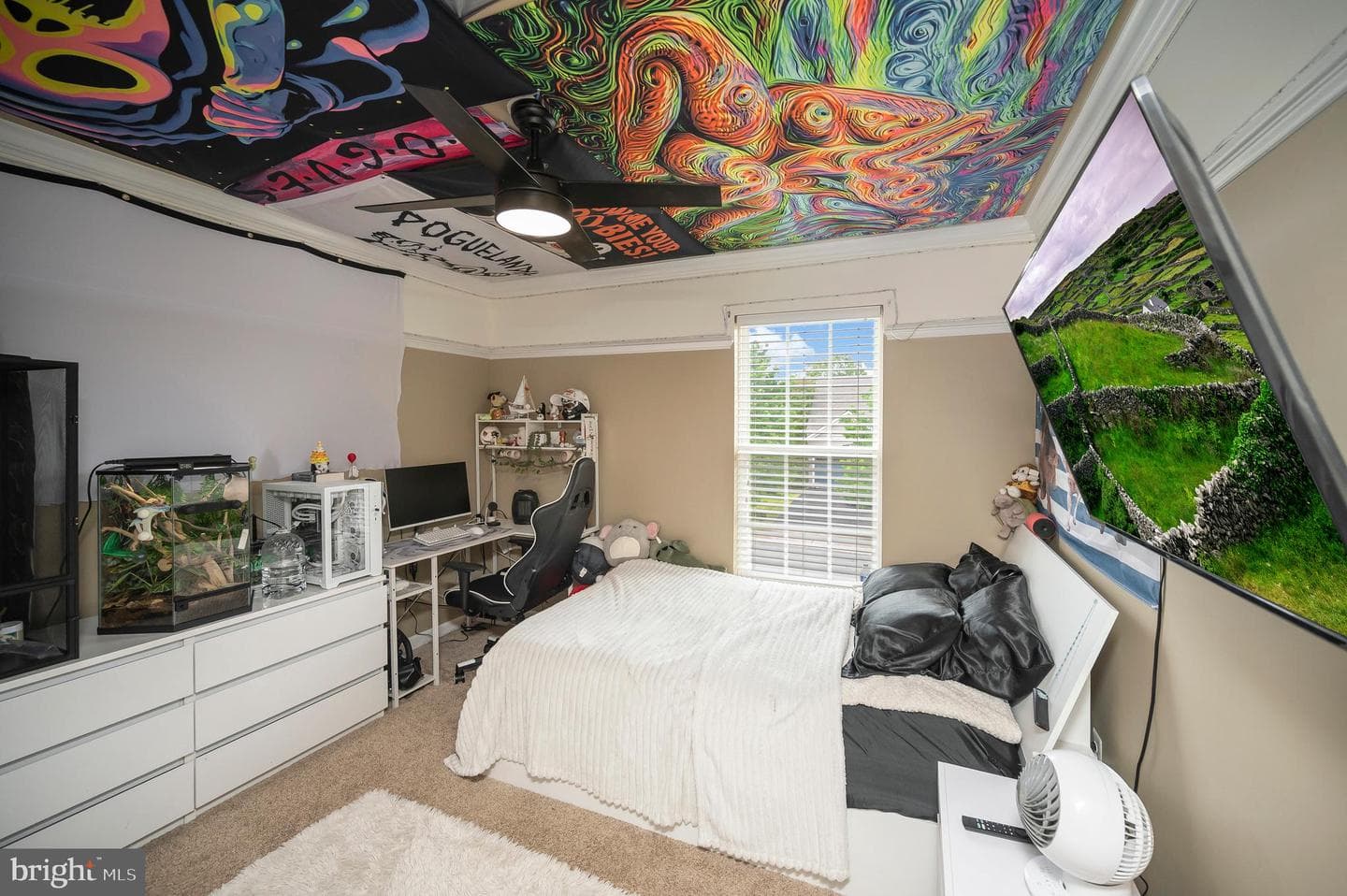 5954 Parsons Lane photo 49