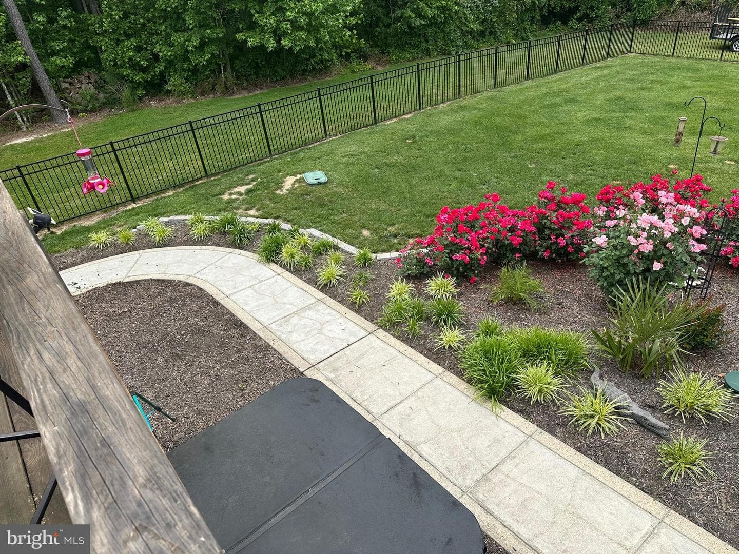 11417 Orchid Ln photo 6