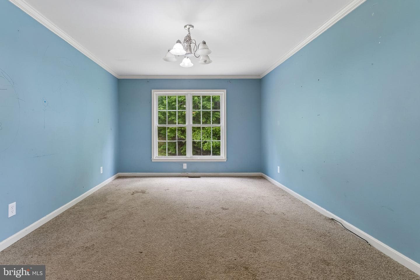 6286 Dawes Drive photo 24