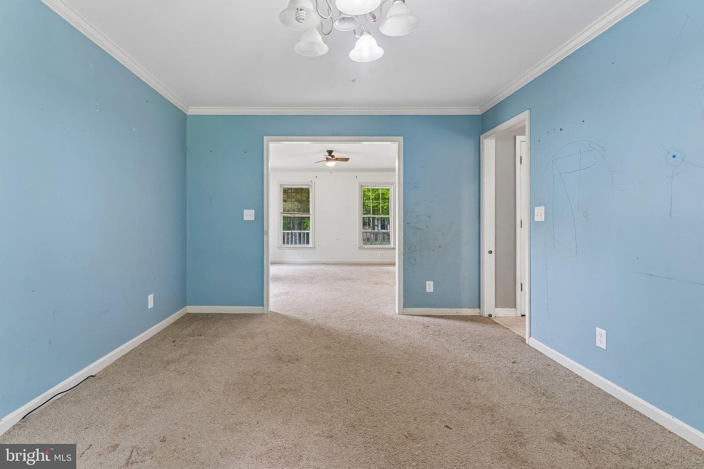 6286 Dawes Drive photo 3