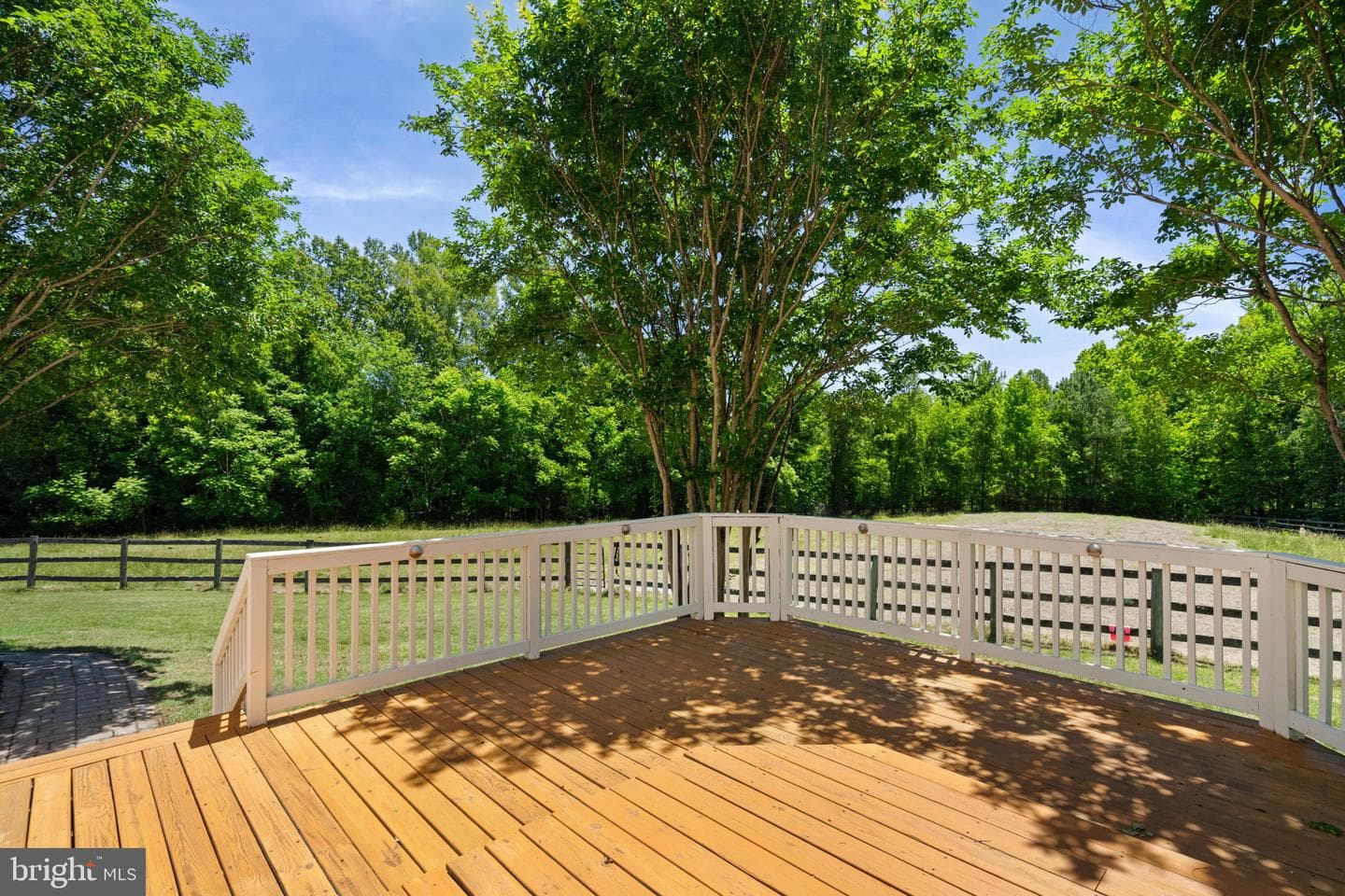 2076 Percheron Drive photo 58